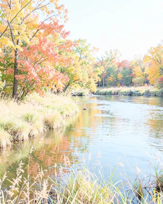 Connecticut Riverbank