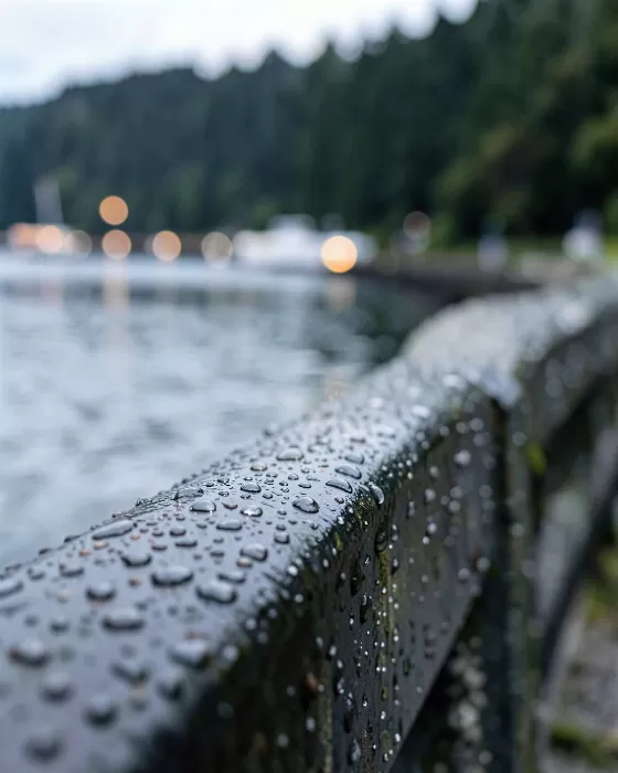 Seawall Rain