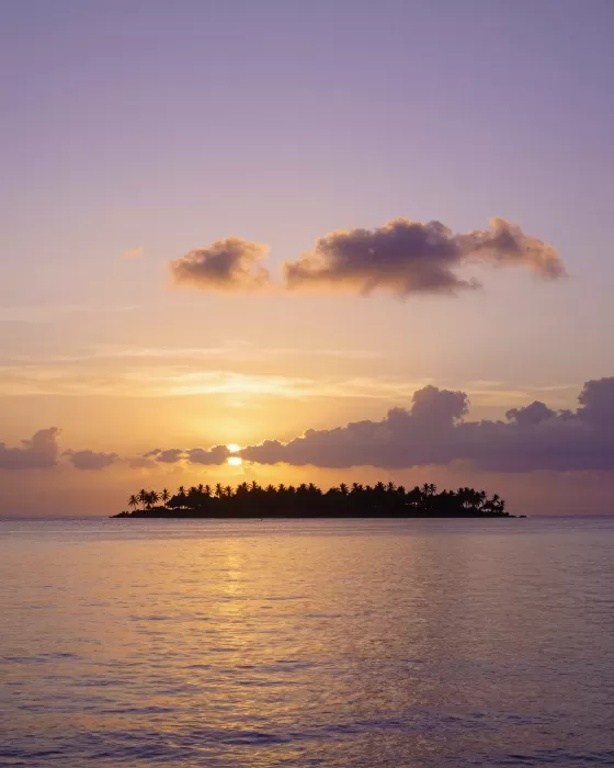 Golden Calm