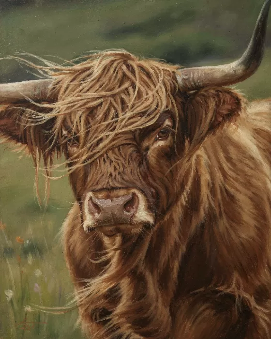 Highland Wind