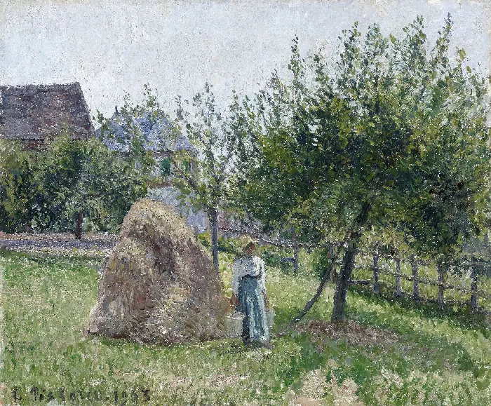Apple trees in Eragny sunny morning