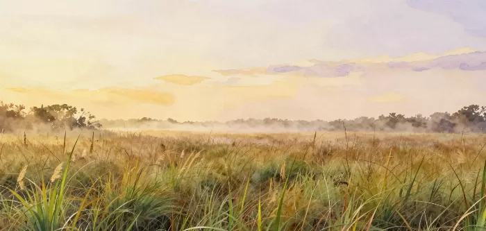Prairie Mist