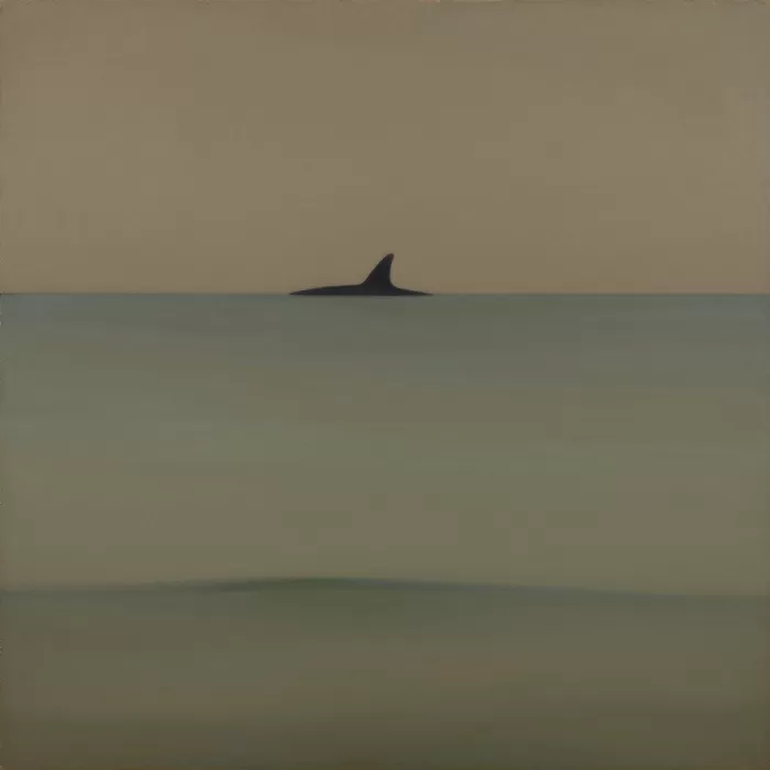 Fin Horizon