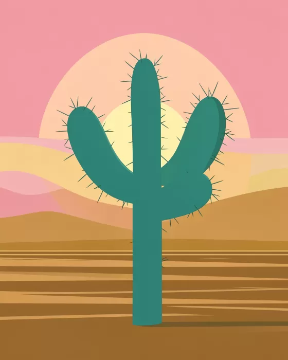 Cholla Sun
