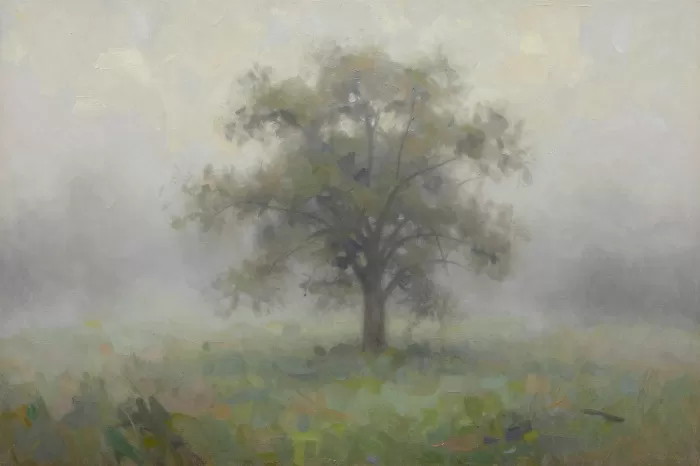 Fogged Tree