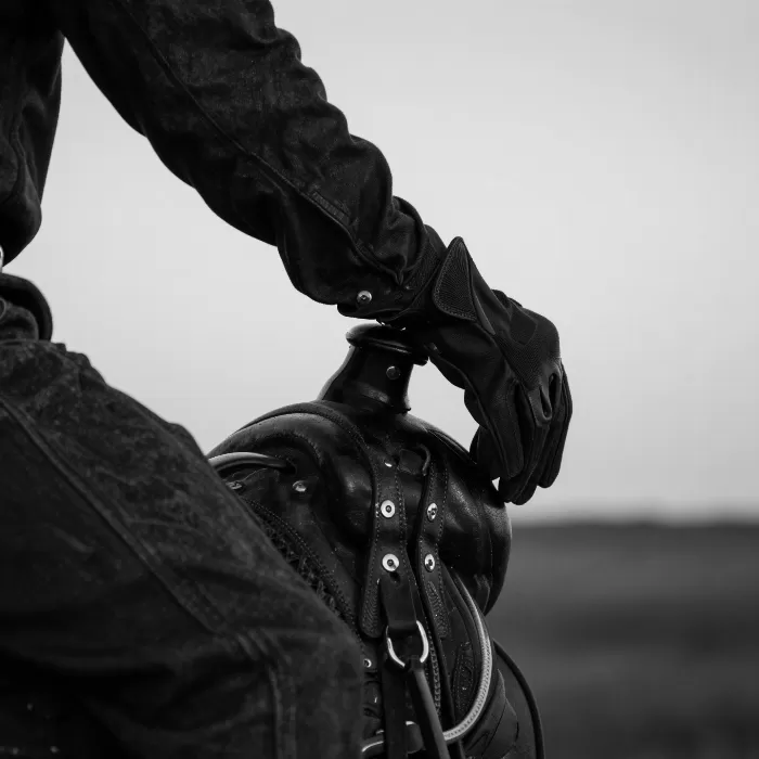 Dawn Grip