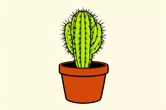 Bold Saguaro