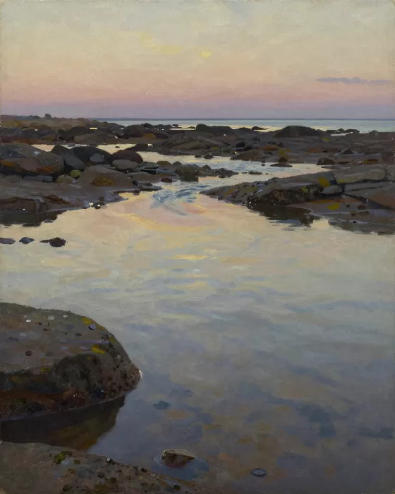 Sunlit Shallows