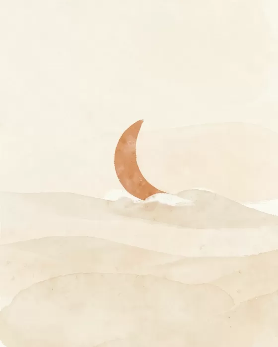 Quiet Fin