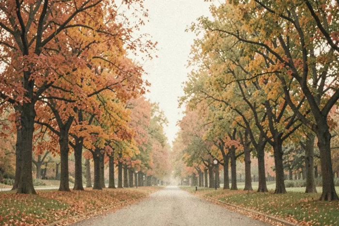 Faded Pathway