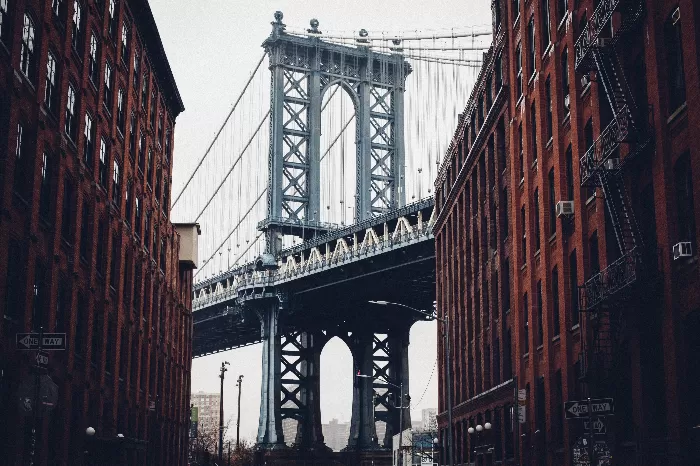 Concrete Jungle