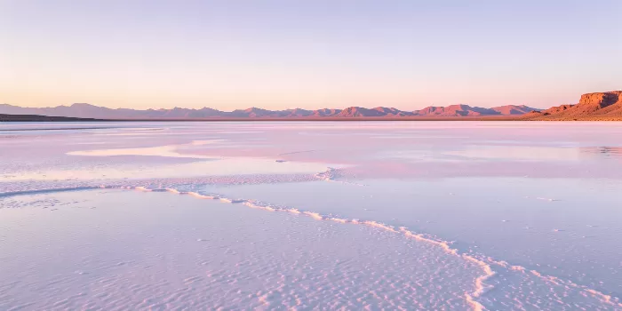 Rose Expanse
