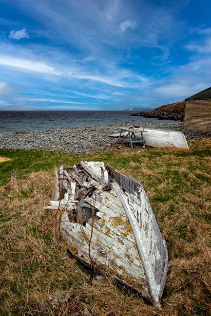 This Old Boat - Newfoundland art print