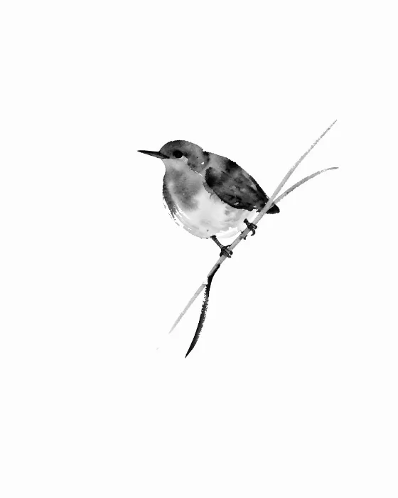Swallow Study