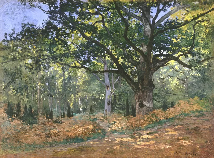 The Bodmer Oak Fontainebleau Forest