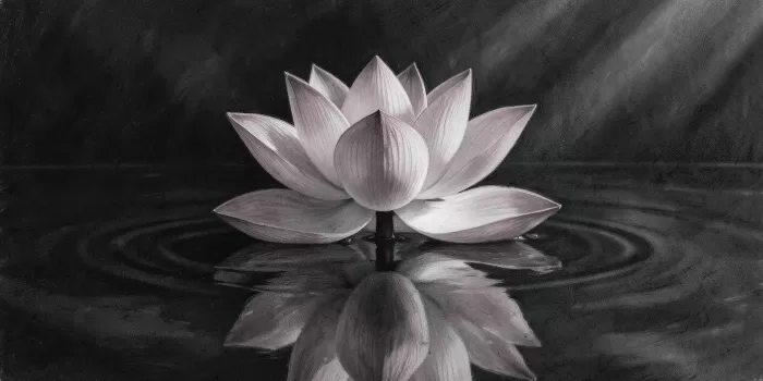Lotus Reflection