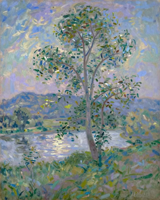 Evening Poplar