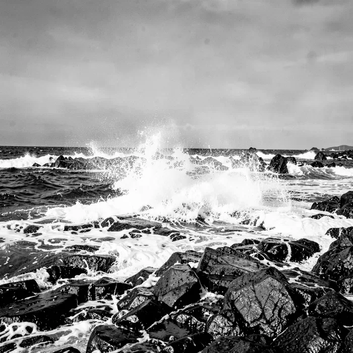 Surf And Stone