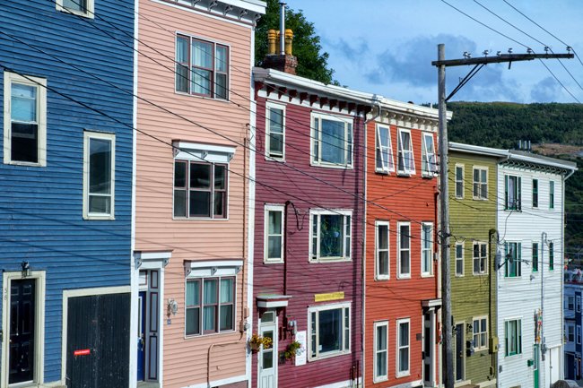 Row Me Jellybean - Newfoundland art print