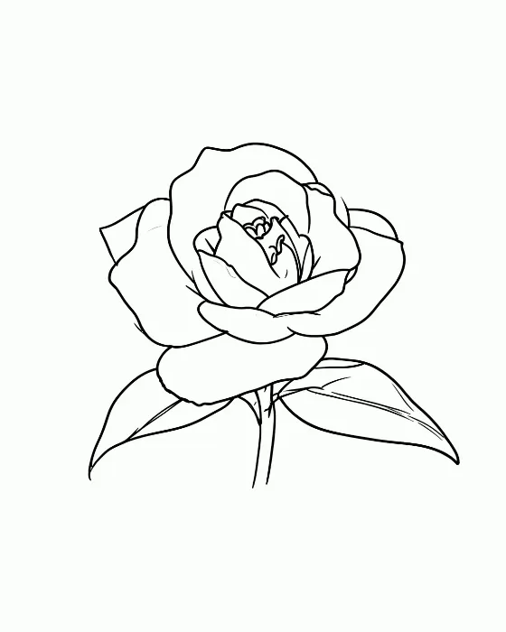 Ink Camellia