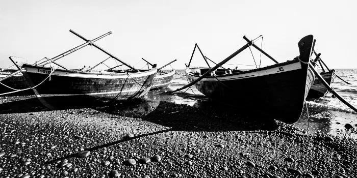Pebbled Dories