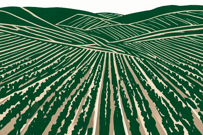 Hillside Greens