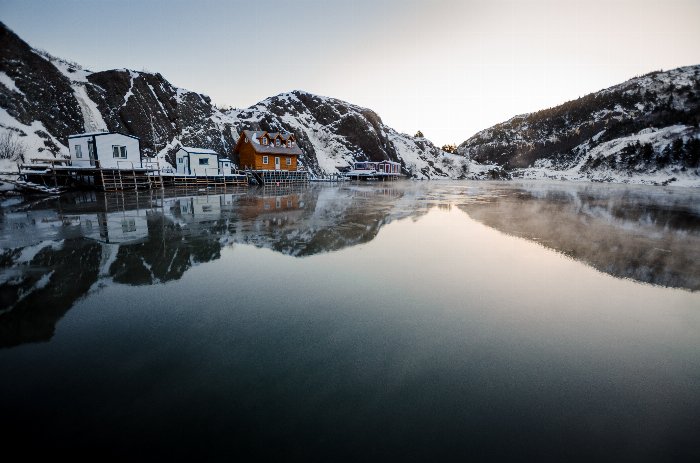 Tranquil - Newfoundland art print