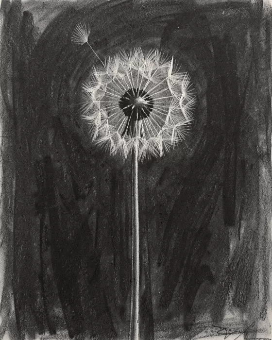 Seed Light
