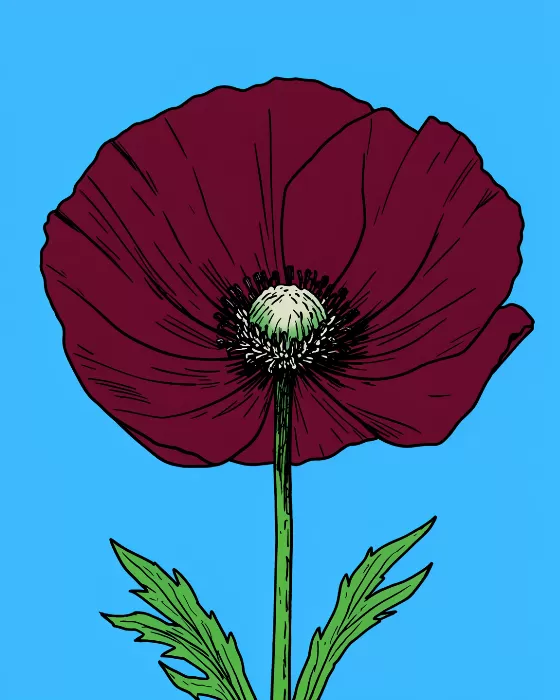 Blue Poppy