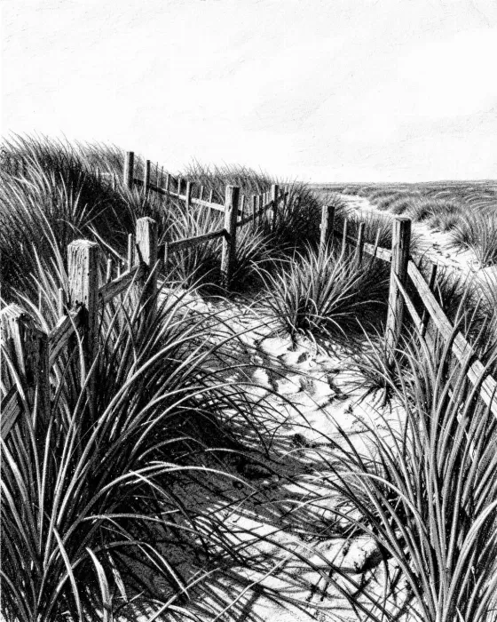 Cape Shadows