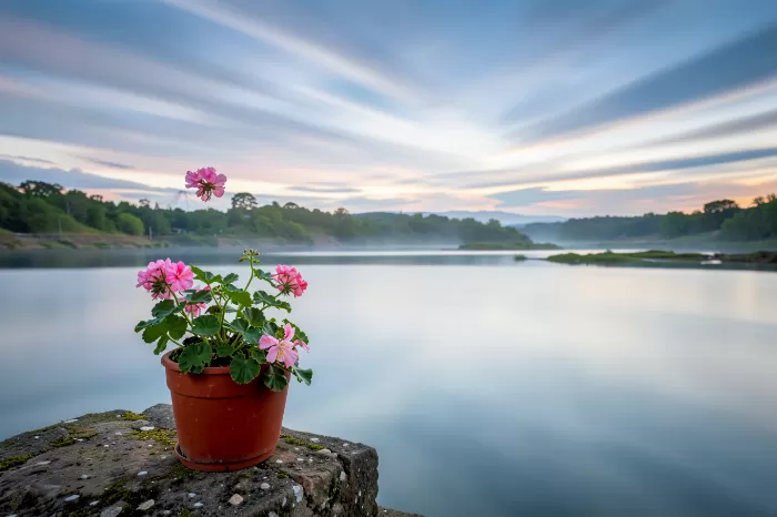 Silk River II