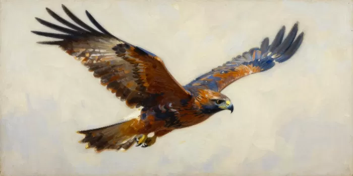 Slate Flight