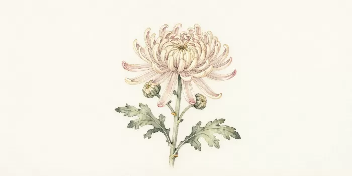 Quilled Bloom