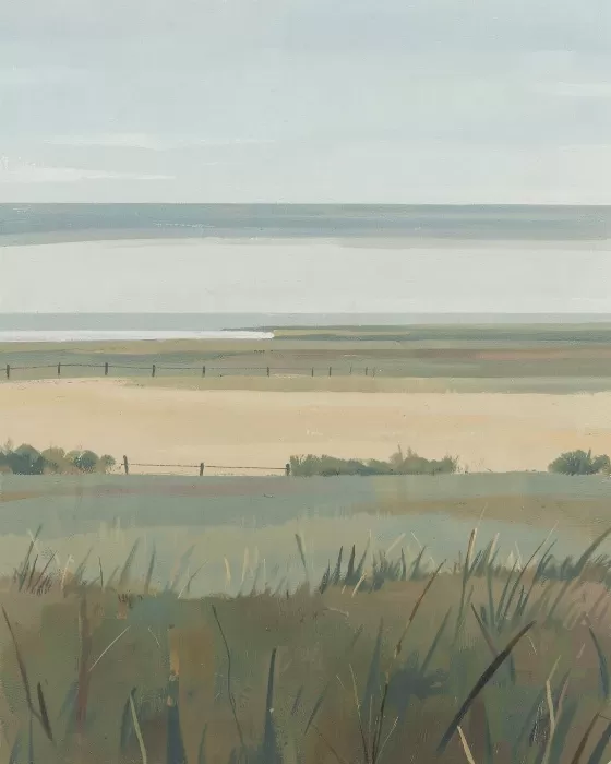 Salt Meadow