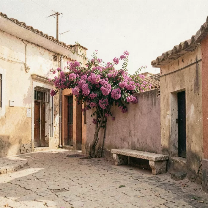 Casa Calle