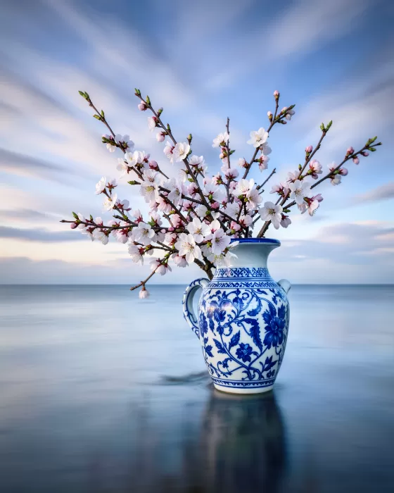 Porcelain Blossoms