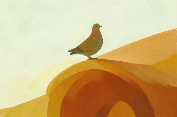 Rooftop Pigeon