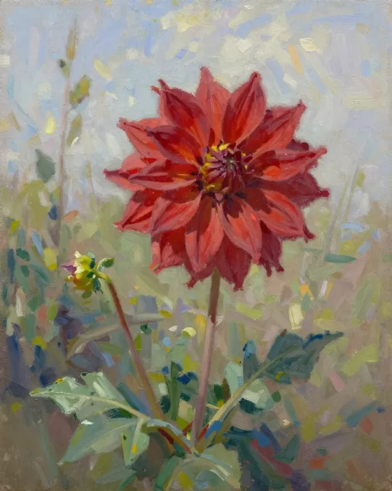 Crimson Dahlia