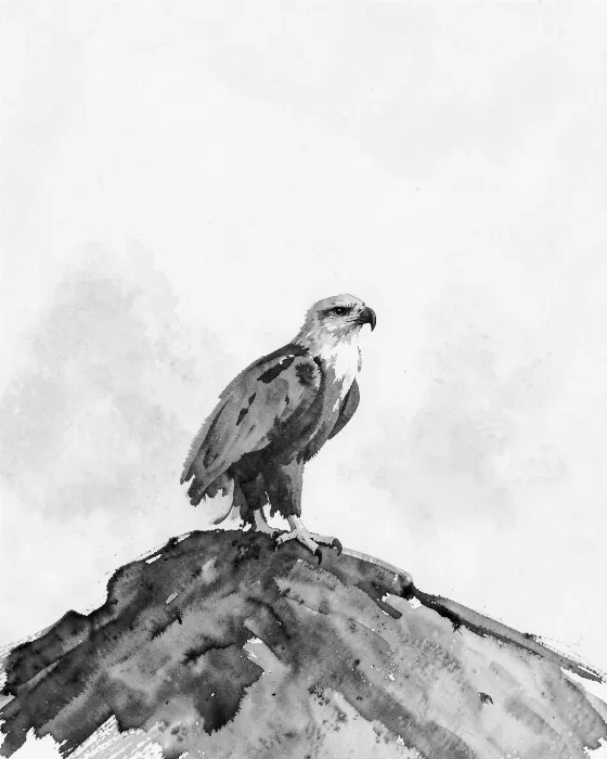 Mistbound Eagle