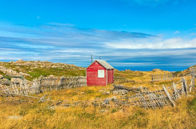 The Journey - Newfoundland art print