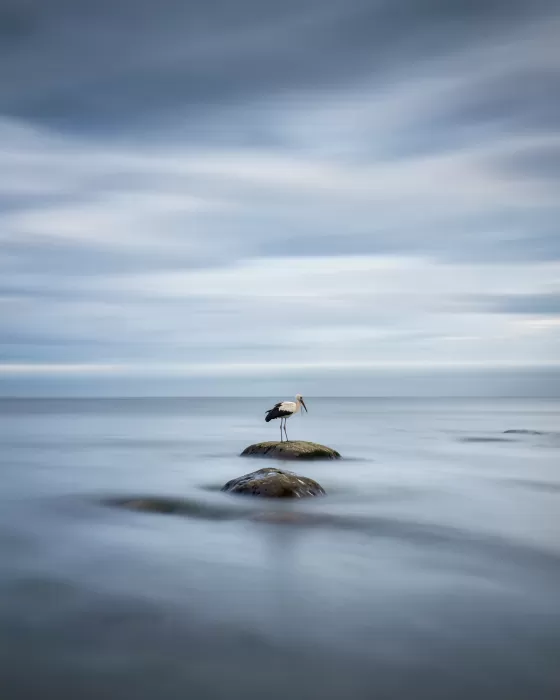 Still Waters IV