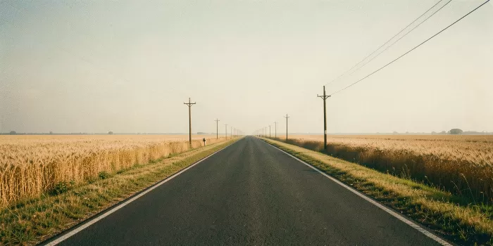 Wheat Line