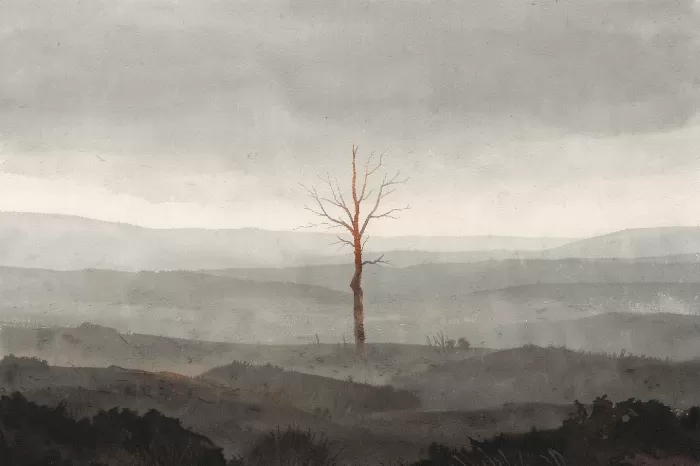 Moor Mist