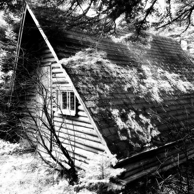 Retreat - Newfoundland art print