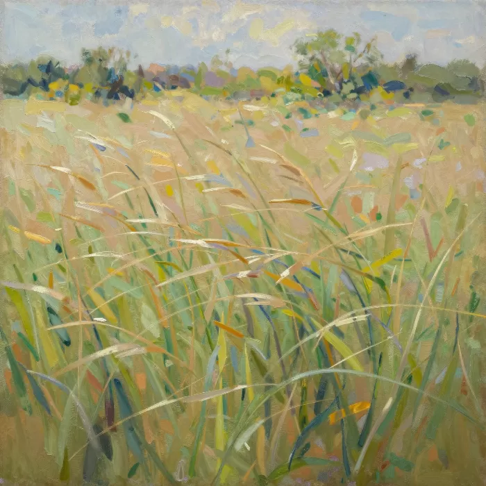 Midsummer Grass