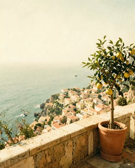 Clifftop Terrace