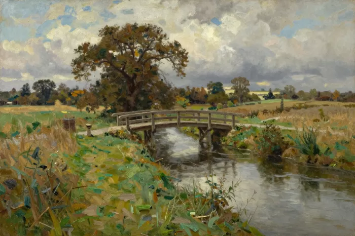 Lowland Clouds