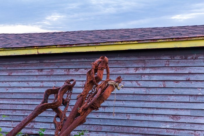 Rusted - Newfoundland art print