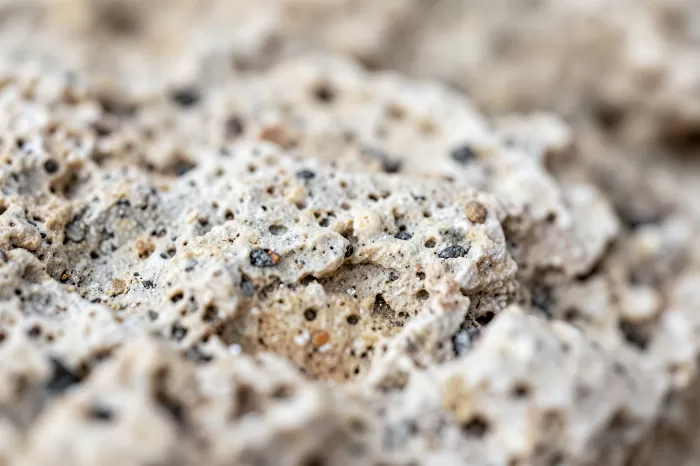 Malta Limestone