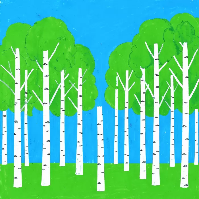 Birch Rows